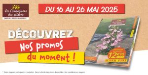 Jardin en mai accueil Les Compagnons des Saisons