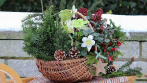 Accueil_Les Compagnons des saisons Bain de Bretagne Balcon en hiver
