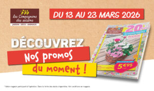 promo plantes printemps jardin